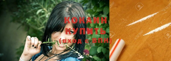 кокс Бородино