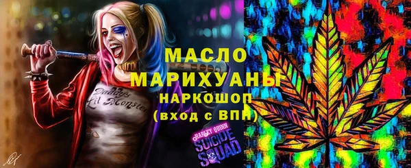 дживик Бронницы