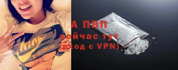 дживик Бронницы