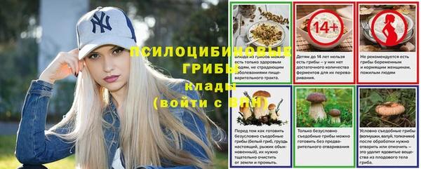 дживик Бронницы