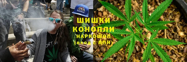 дживик Бронницы