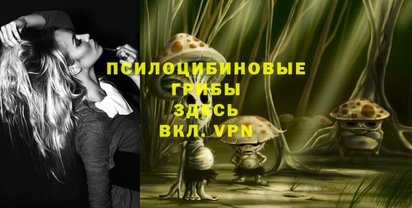 твердый Бугульма