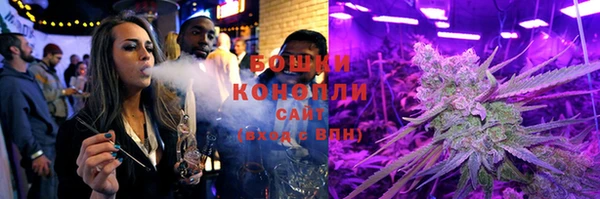 дживик Бронницы