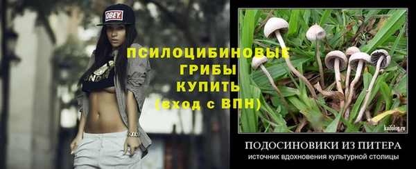 дживик Бронницы