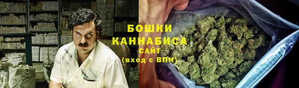 дживик Бронницы