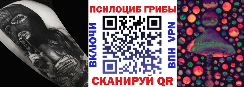 Купить  Кыштым  Псилоцибиновые грибы GOLDEN TEACHER 